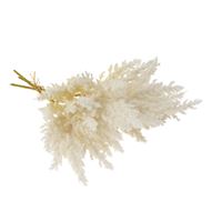 Pampas Grass Bundle-White