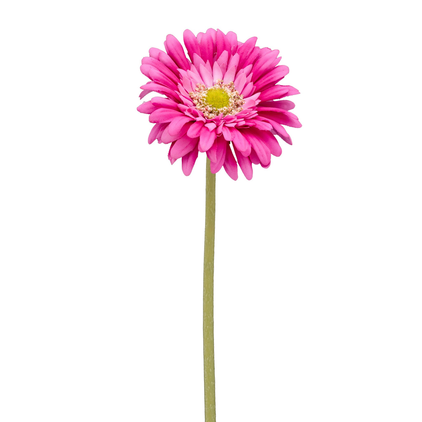 Gerbera Daisy Real Touch 24" Stem - Pink